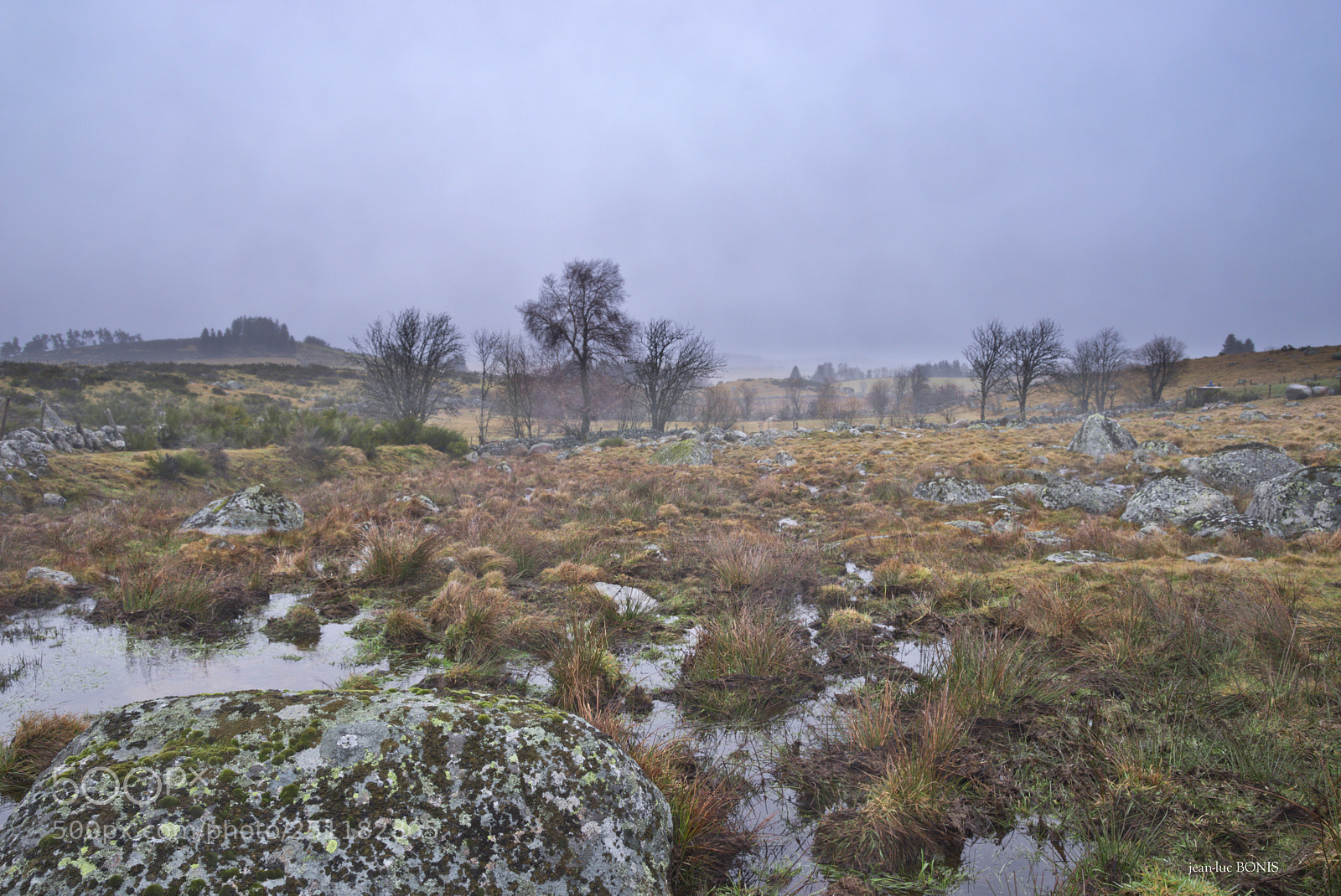 Pentax K-1 sample photo. Aubrac sous la pluie photography