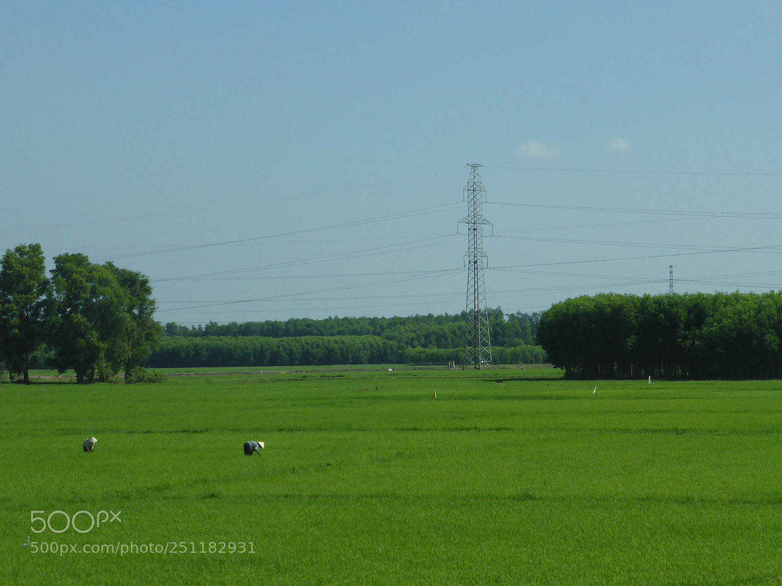 Panasonic Lumix DMC-ZS30 (Lumix DMC-TZ40) sample photo. Untitled photography