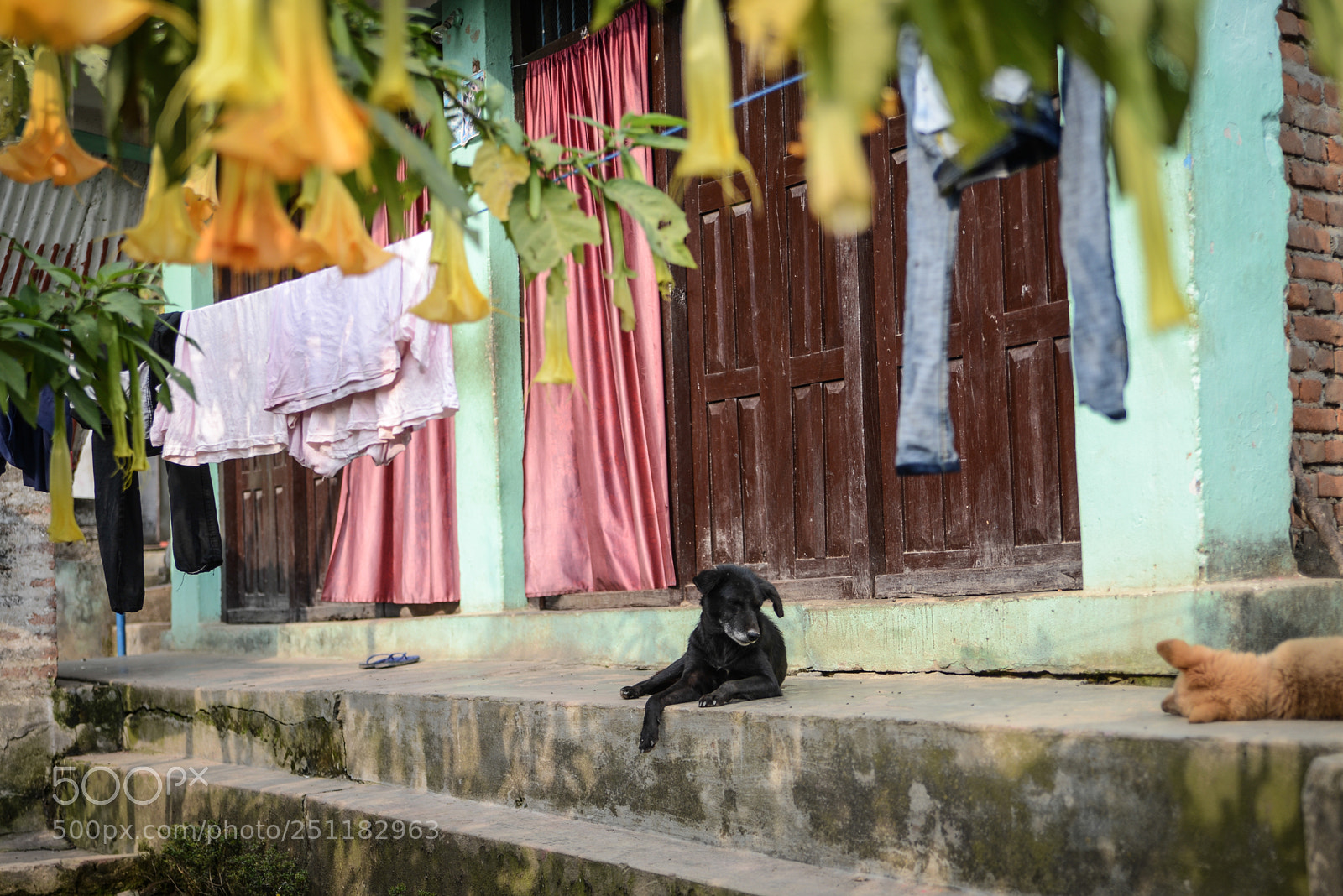 Nikon D600 sample photo. Nepal photography