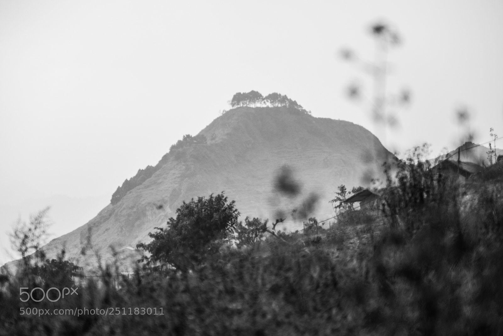 Nikon D600 sample photo. Nepal photography