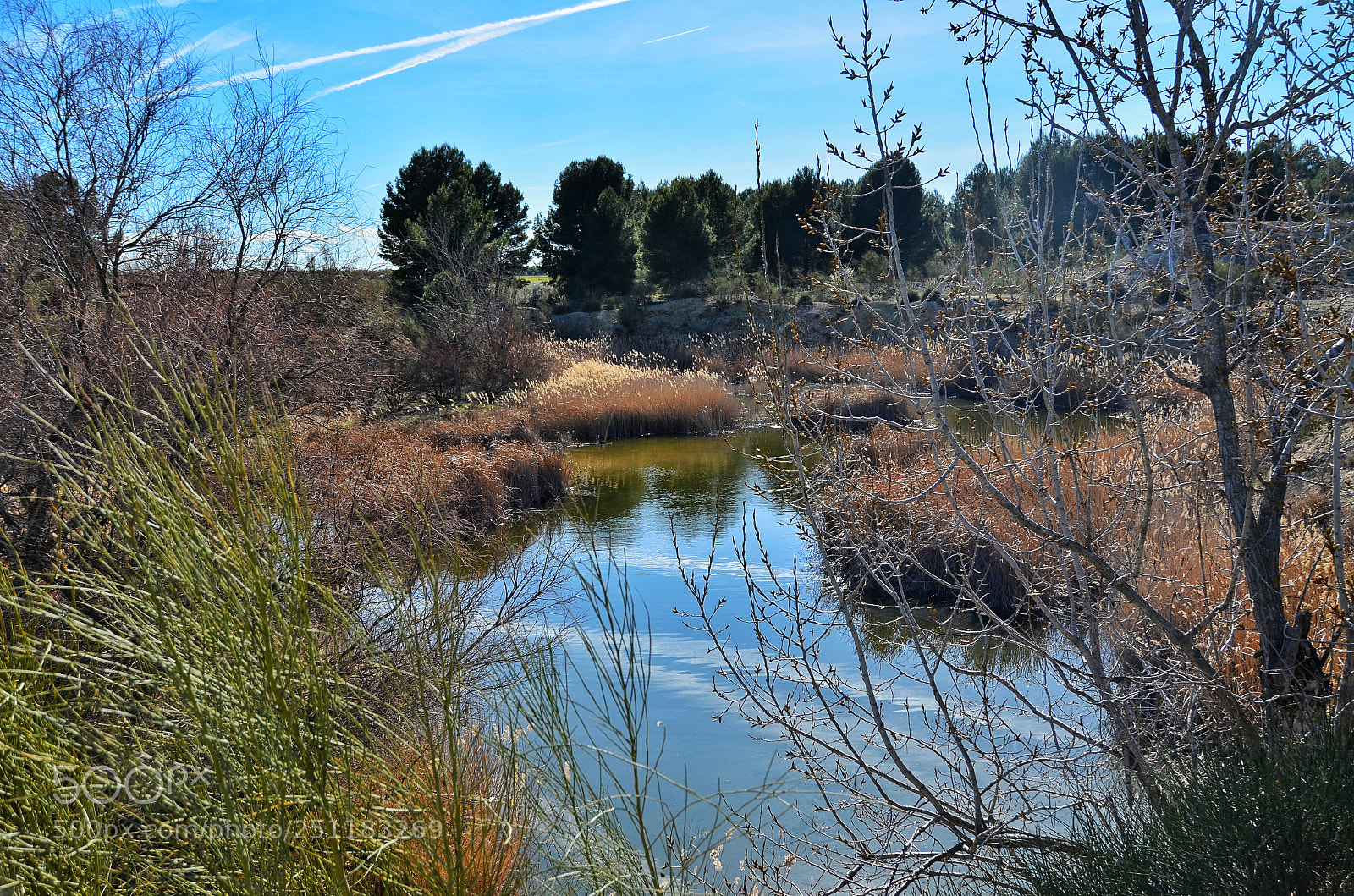 Nikon D5100 sample photo. Reflejagua photography