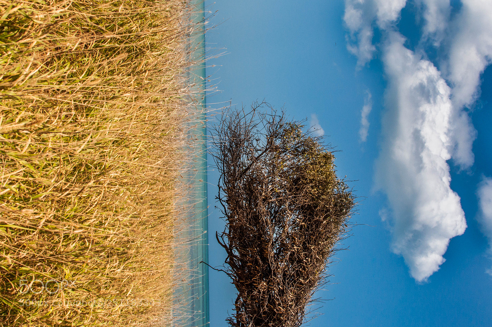 Nikon D5000 sample photo. Blue sky photography