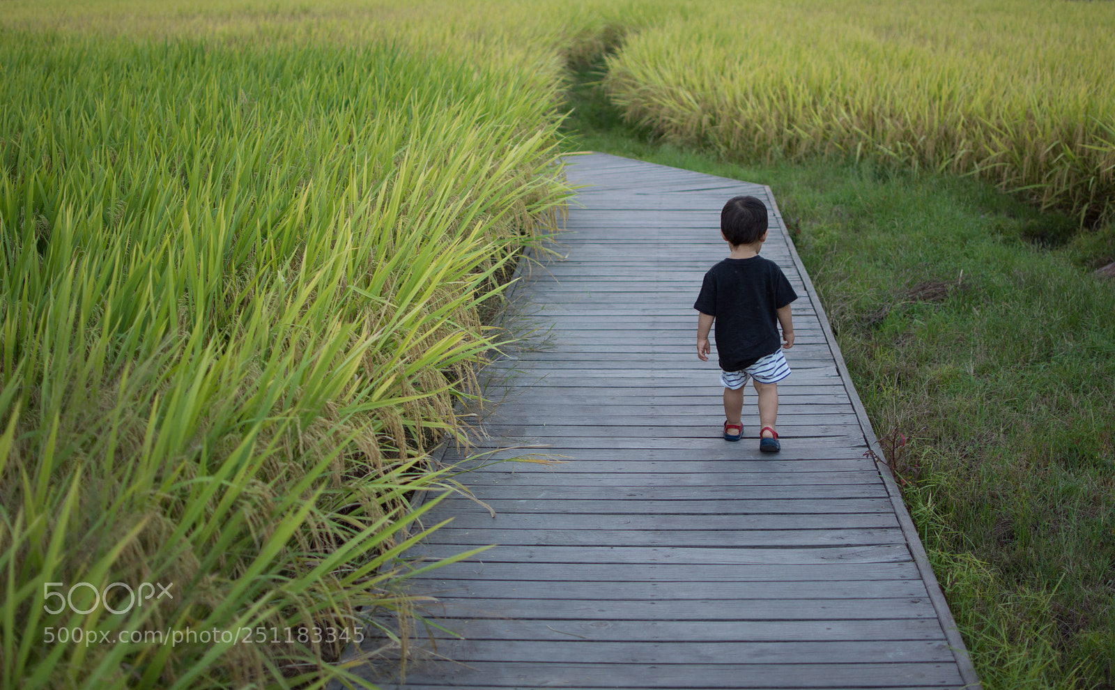 Nikon D7100 sample photo. Untitled photography