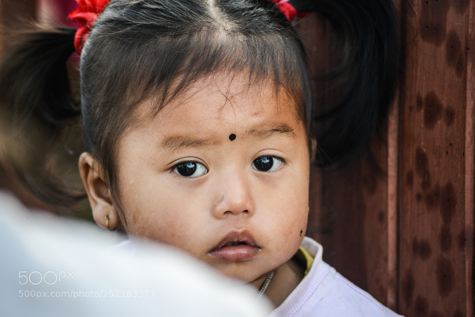 Nikon D600 sample photo. Nepal photography