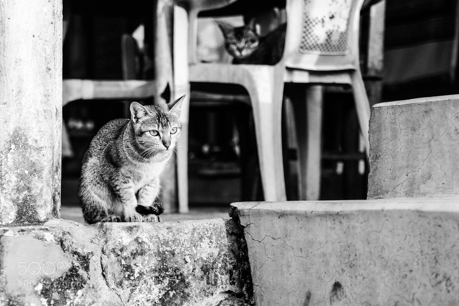 Nikon D600 sample photo. Nepal photography