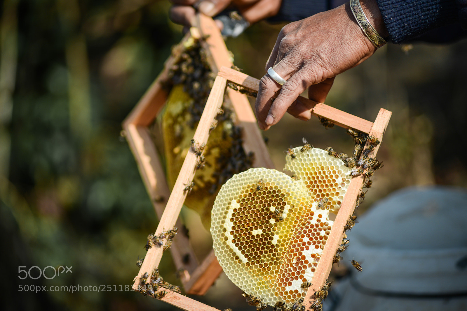 Nikon D600 sample photo. Nepal photography