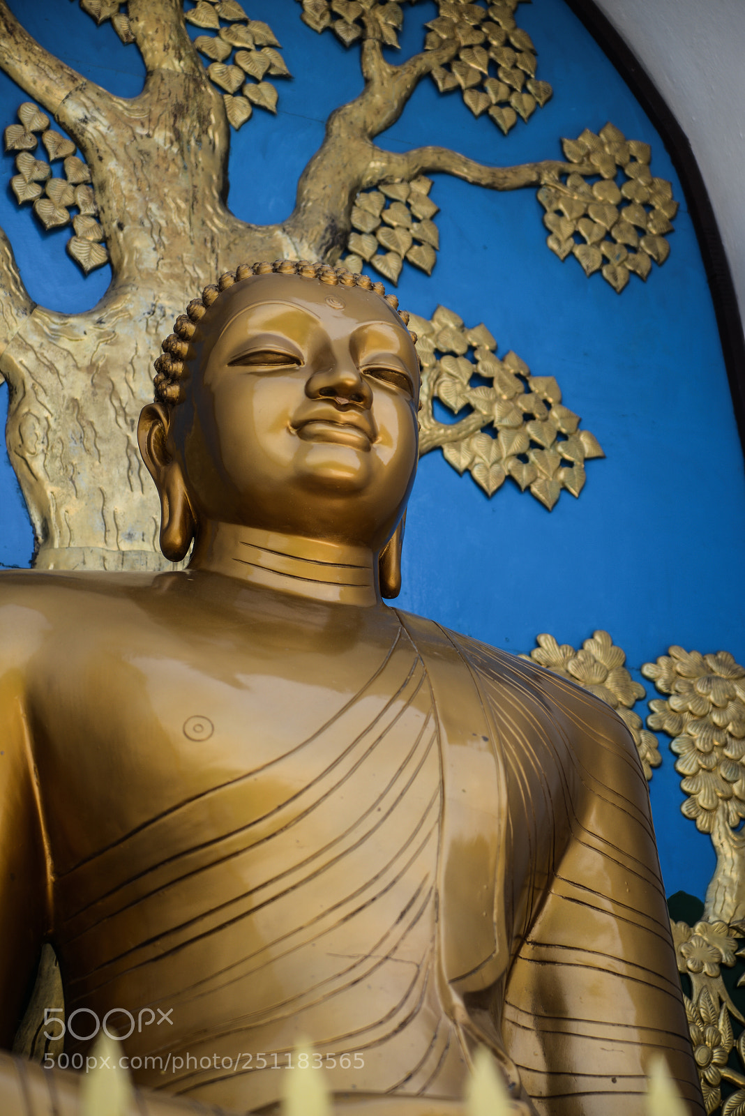 Nikon D600 sample photo. Nepal photography