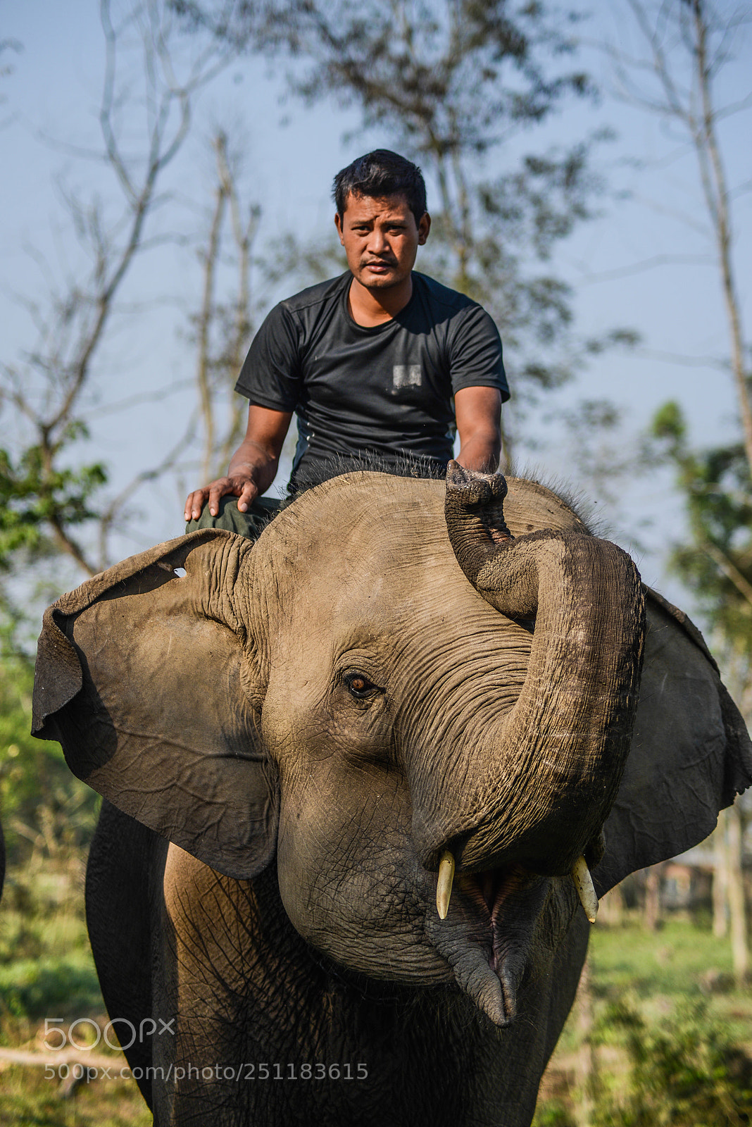 Nikon D600 sample photo. Nepal photography