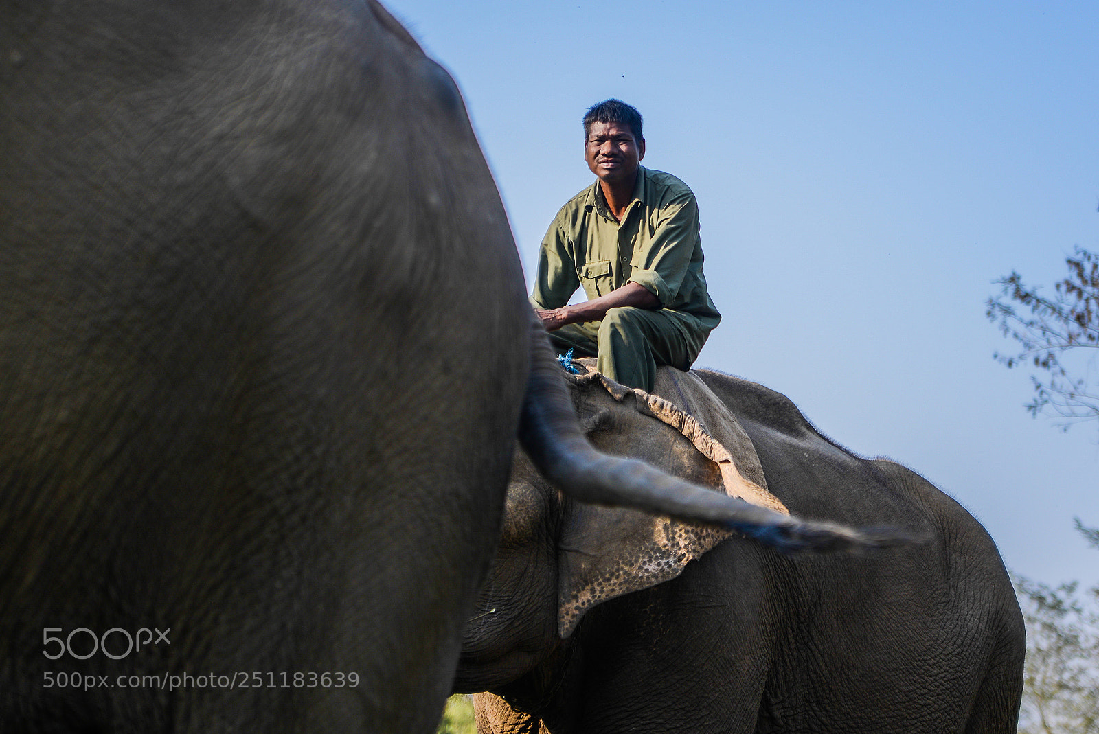 Nikon D600 sample photo. Nepal photography