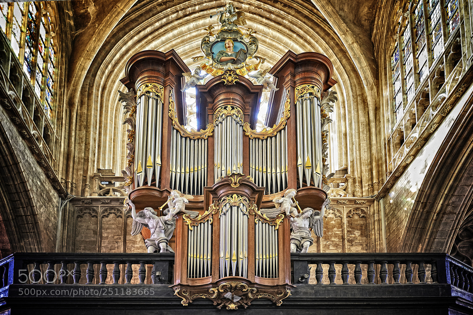 Nikon D800E sample photo. Brussels, belgium-march 14 organ photography