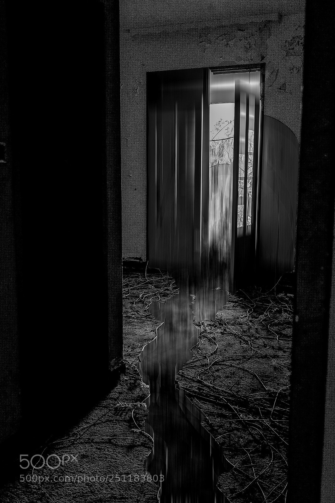 Sony a7 sample photo. Désordres photography