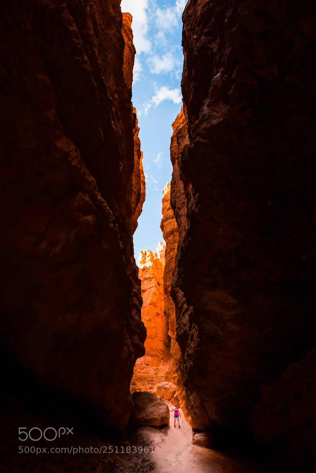 Nikon D600 sample photo. Wall street at bryce photography