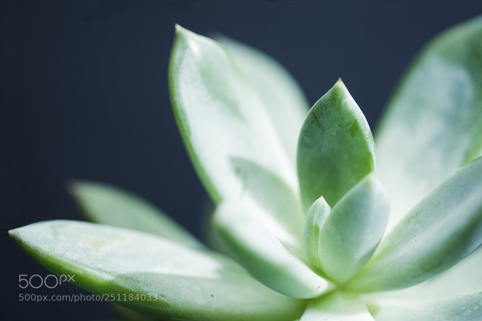 Nikon D7500 sample photo. Aquamarine (blue) quartz photography