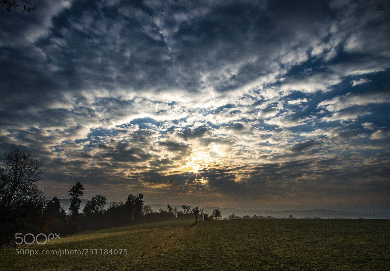 Nikon D800 sample photo. Morning at the hunting photography