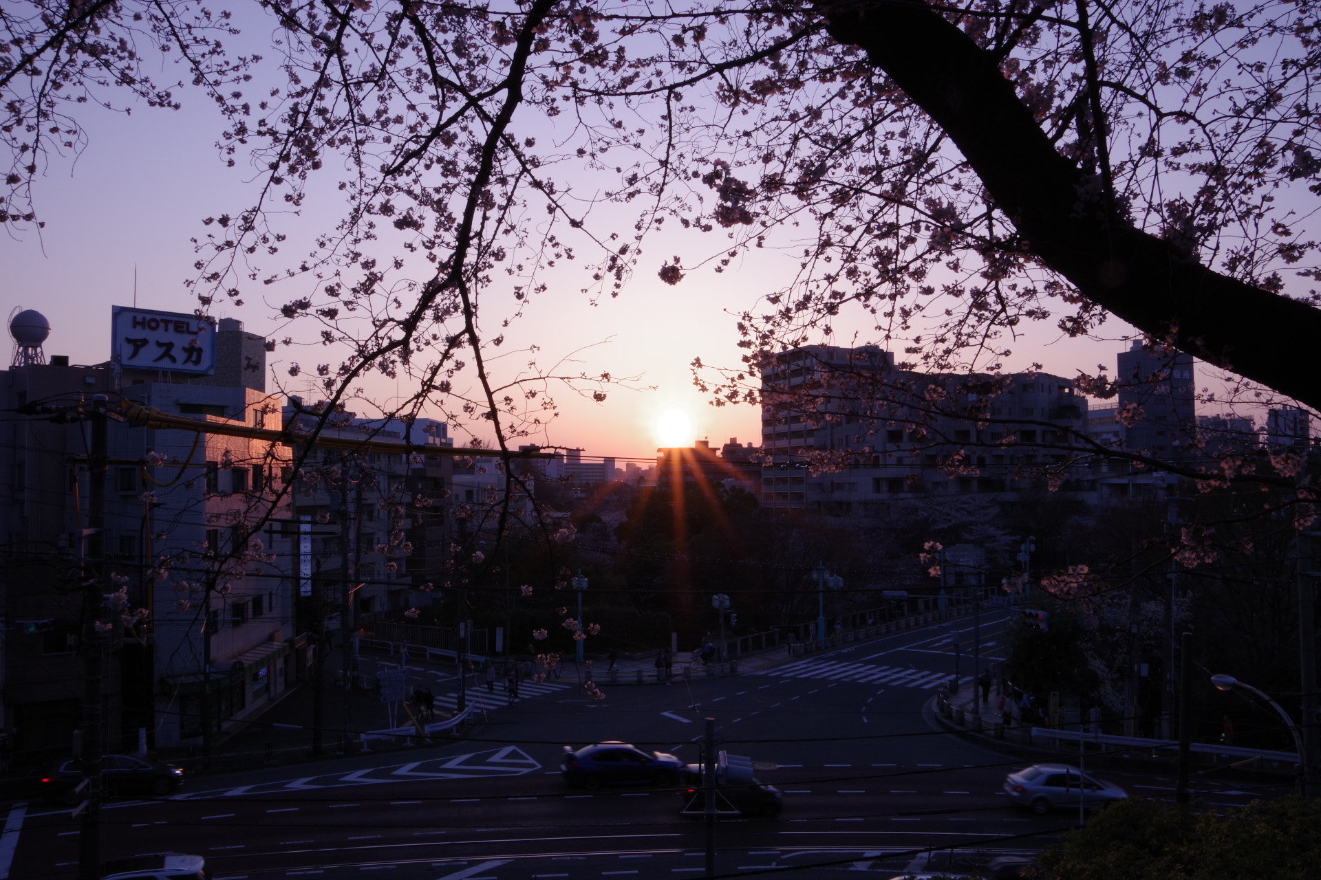 Pentax K-70 sample photo. Sakura photography