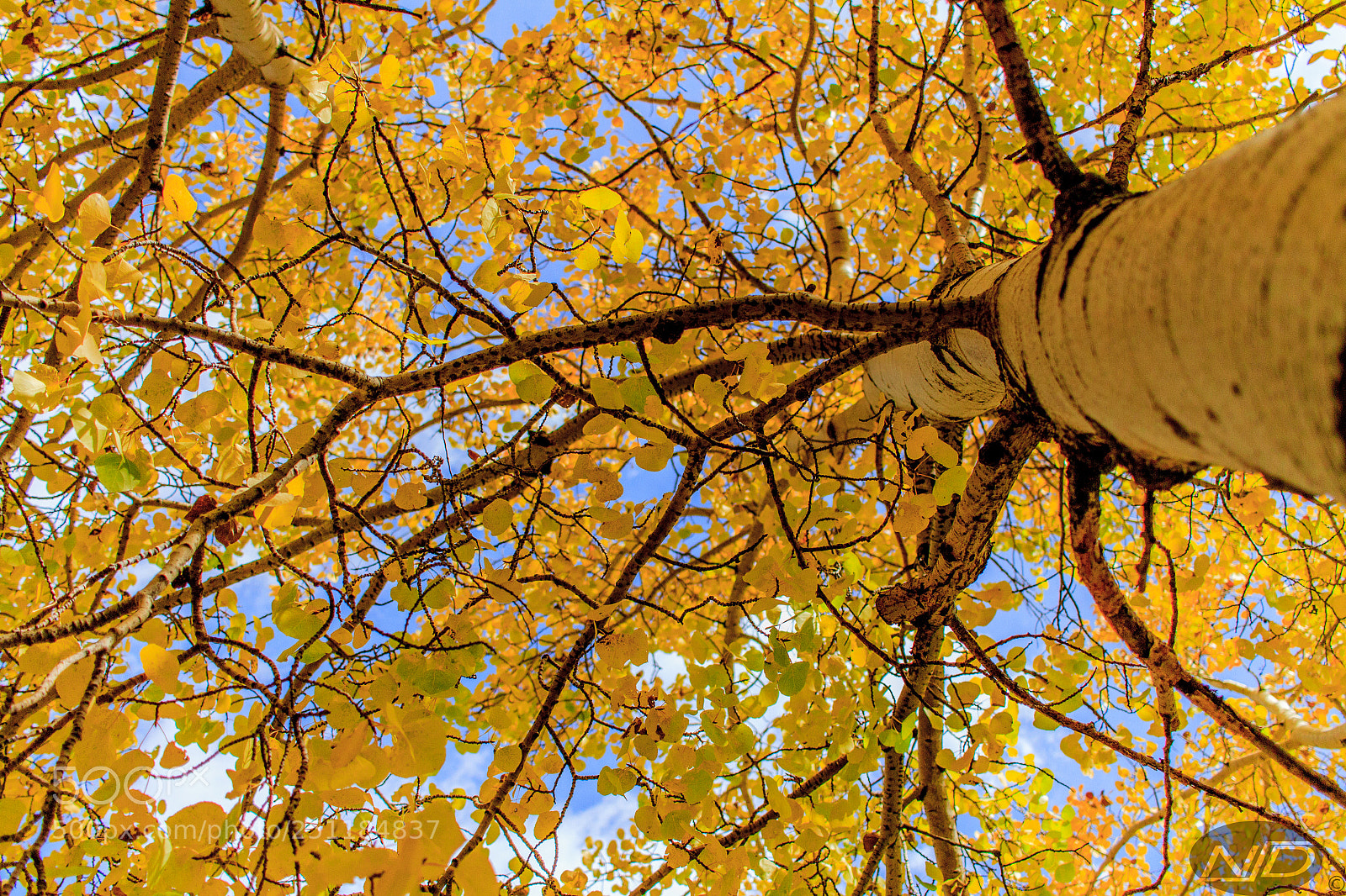 Canon EOS 7D sample photo. Untitled photography