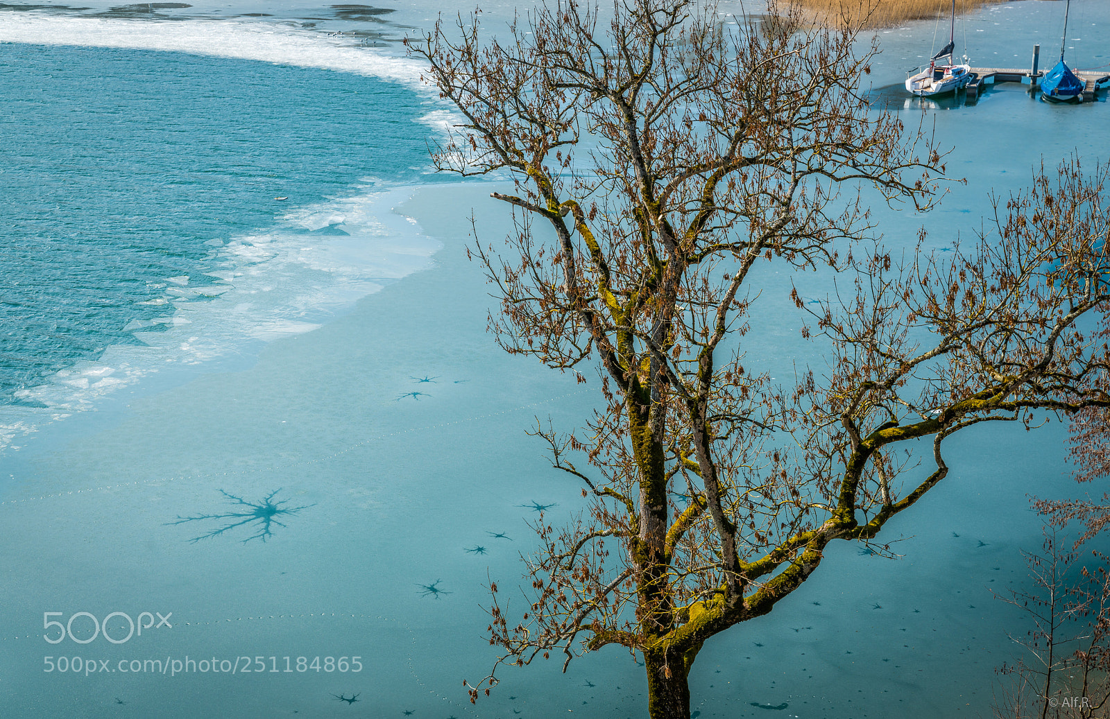 Sony a7R II sample photo. Stars in the ice photography