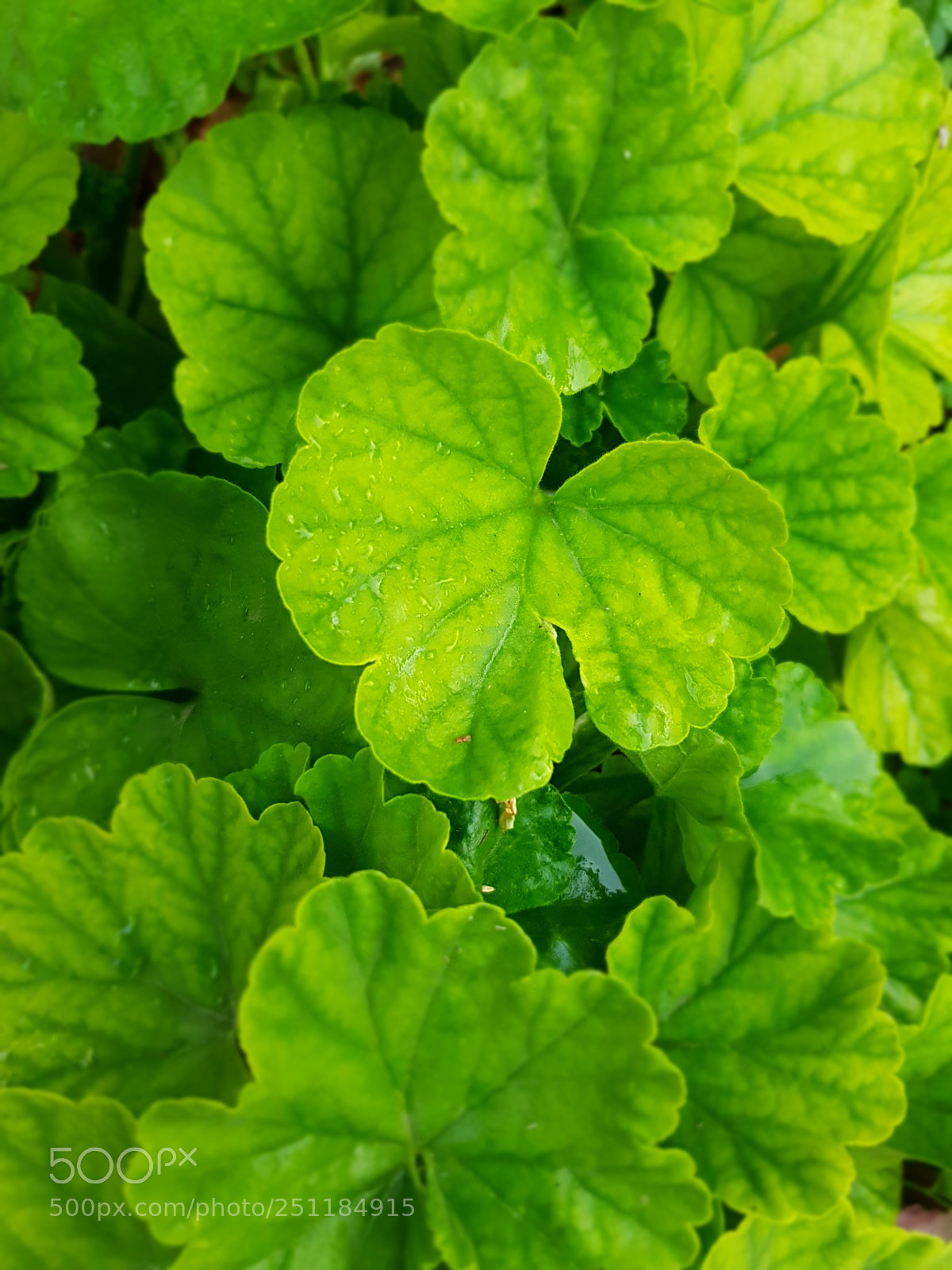 Samsung Galaxy S7 sample photo. Untitled photography