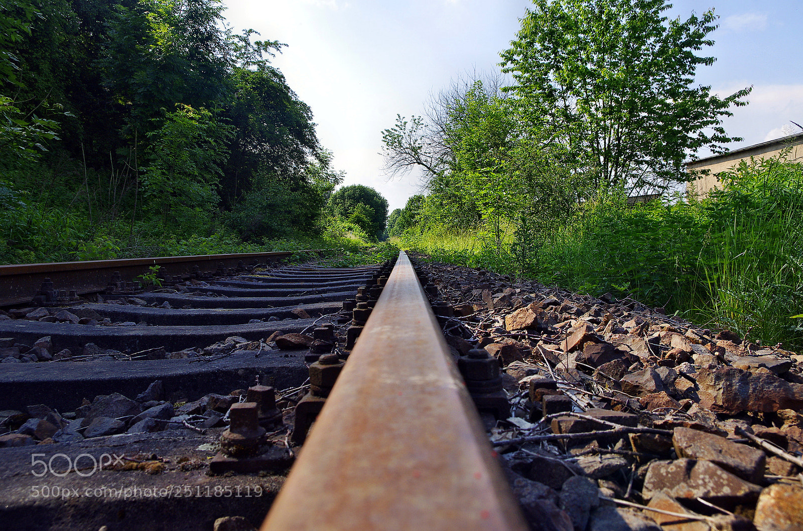 Pentax K-5 sample photo. Untitled photography