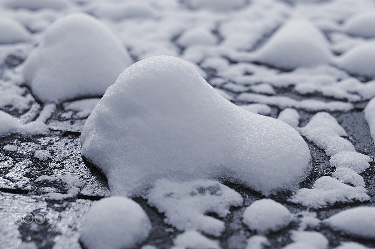 Nikon D300 sample photo. Melting snow photography