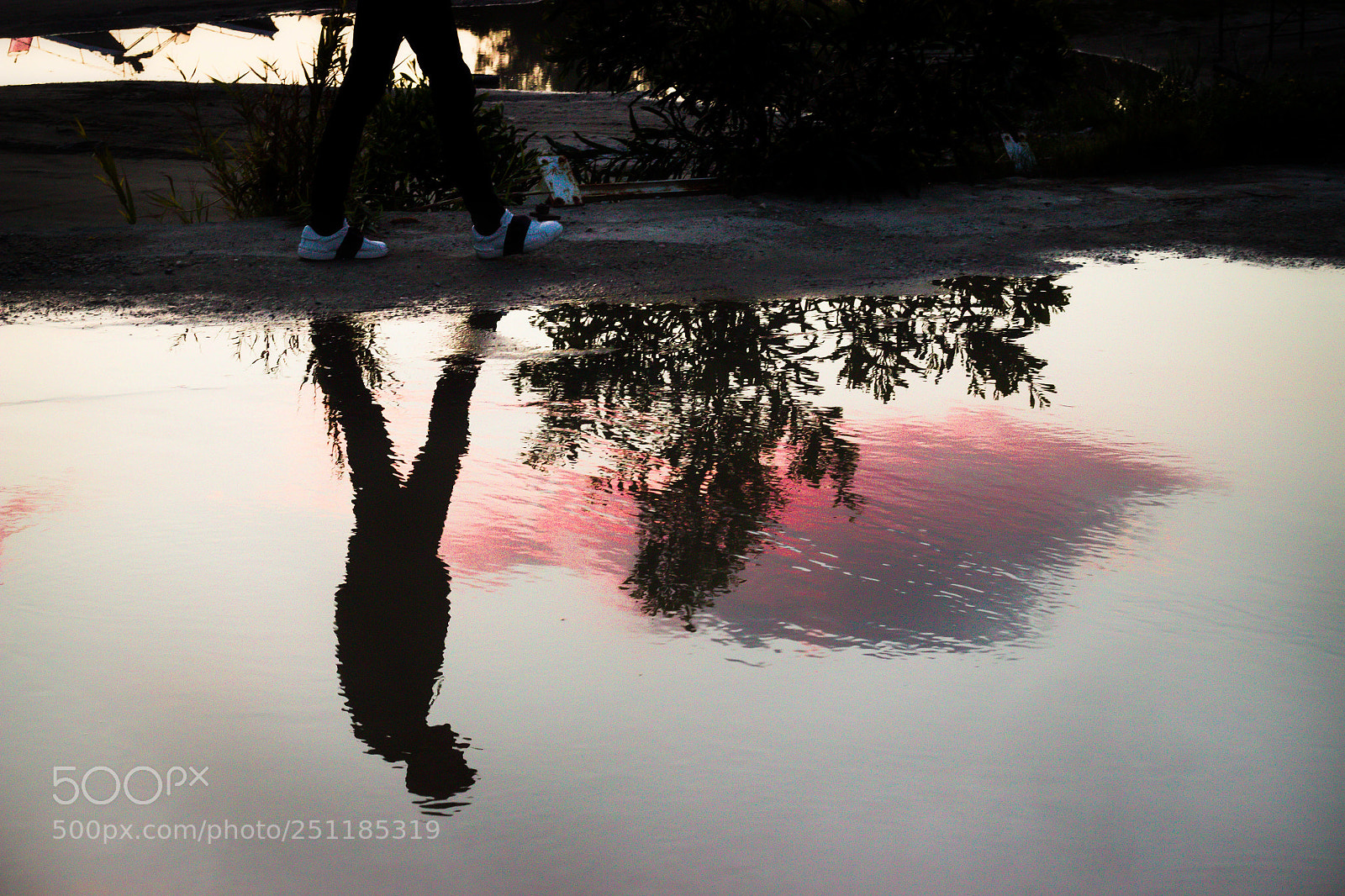 Canon EOS 600D (Rebel EOS T3i / EOS Kiss X5) sample photo. Reflecting pink photography