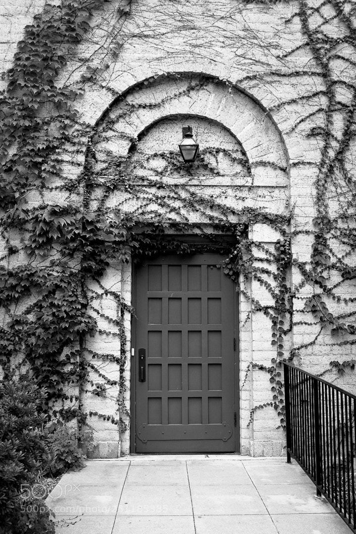 Fujifilm X100T sample photo. Sierramadre-13 photography