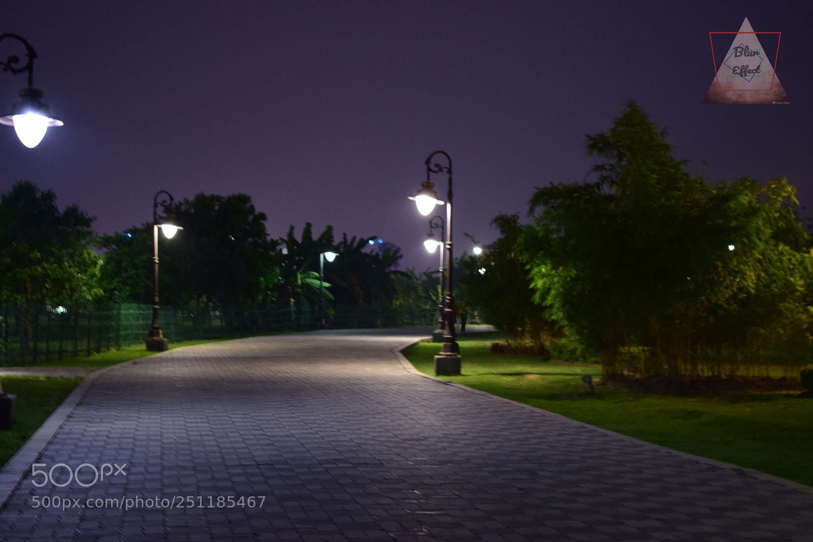 Nikon D5300 sample photo. Untitled photography
