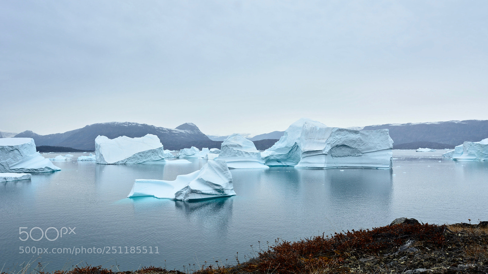 Nikon D7100 sample photo. Harefjord - scoresby sound photography