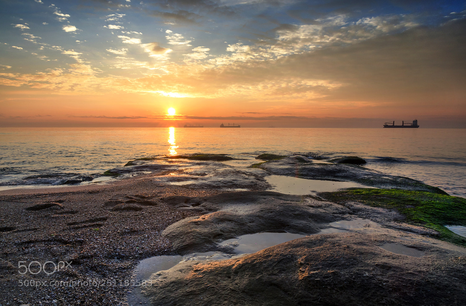 Nikon D5100 sample photo. Morning photography