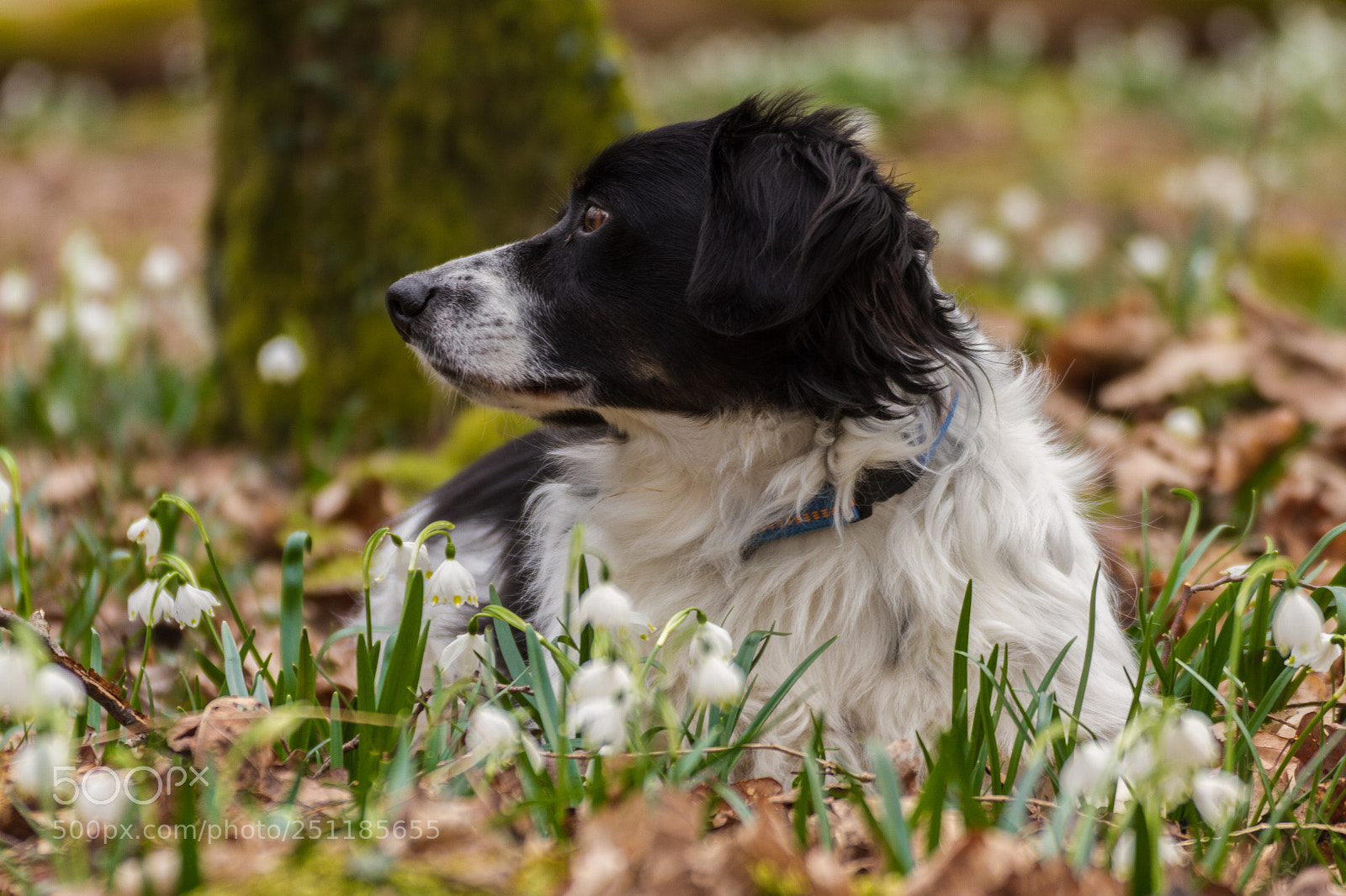 Canon EOS 7D sample photo. Benni photography