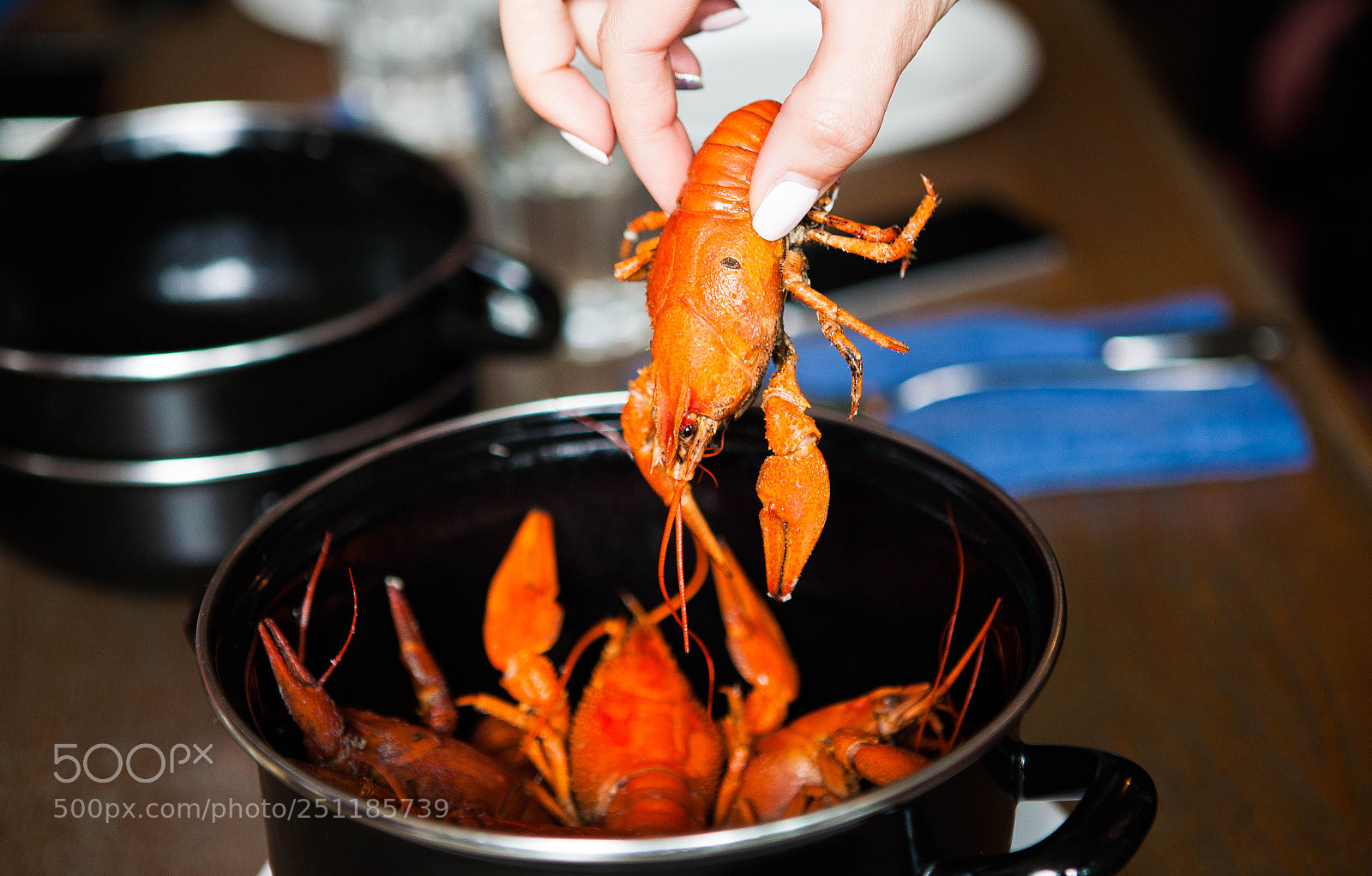 Canon EOS 5D sample photo. Img photography