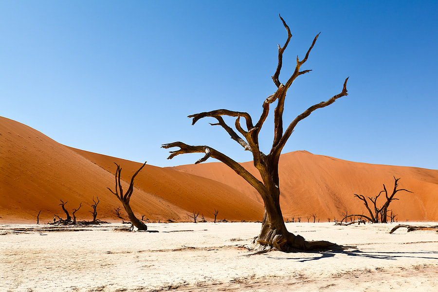 Namibia – Deadvlei by Fabrizio Fenoglio on 500px.com