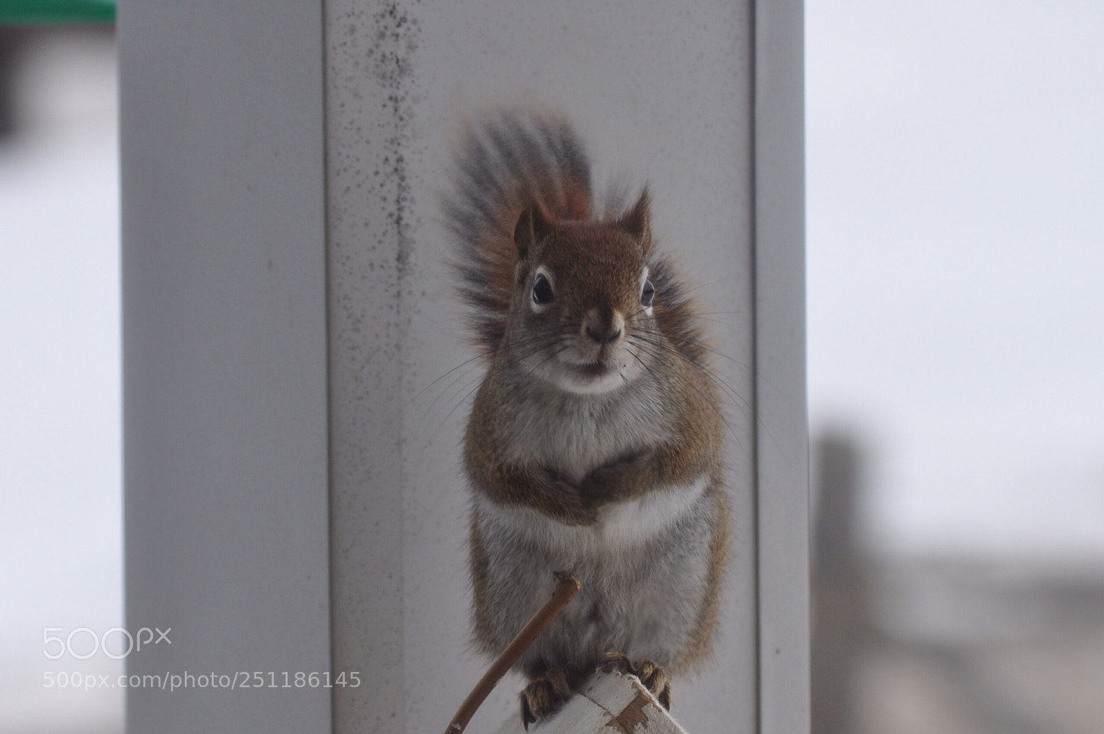 Nikon D5000 sample photo. Is it mealtime ? photography