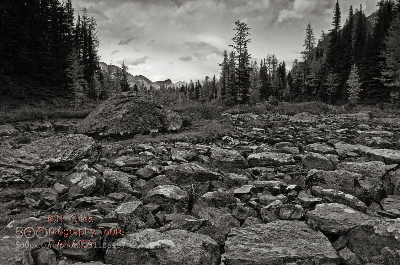 Pentax K-5 IIs sample photo. Dry stream bed photography