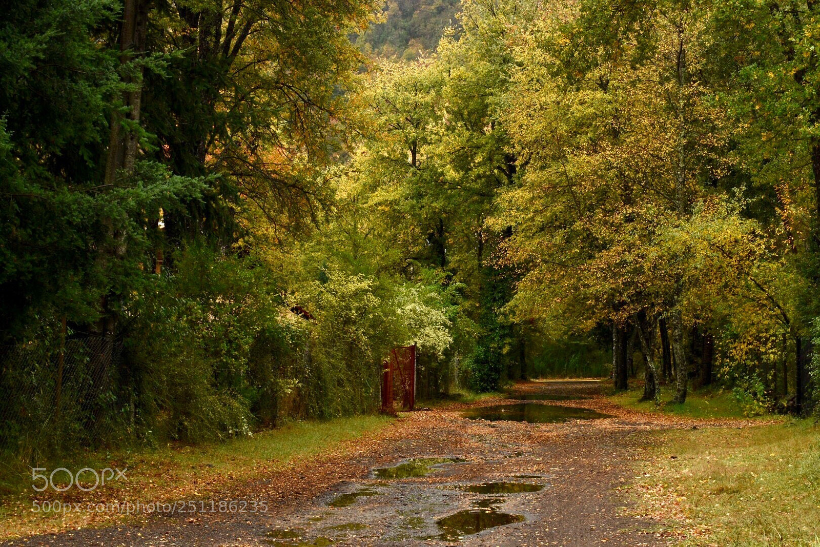 Nikon D5500 sample photo. Camino a termas de photography