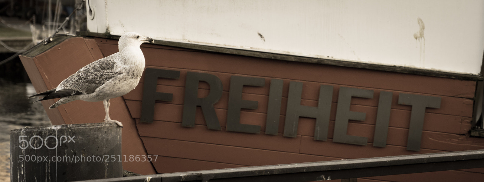 Sony a7R III sample photo. Freedom photography