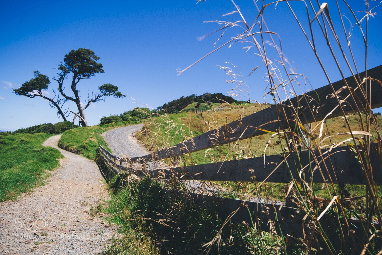 Canon EOS 7D sample photo. Mangawhai photography
