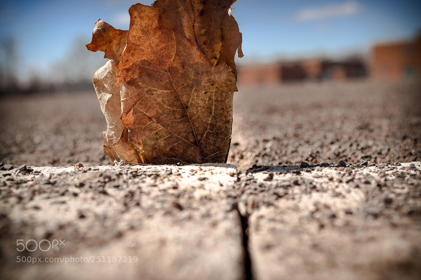 Nikon D3300 sample photo. Shallow depth of field photography