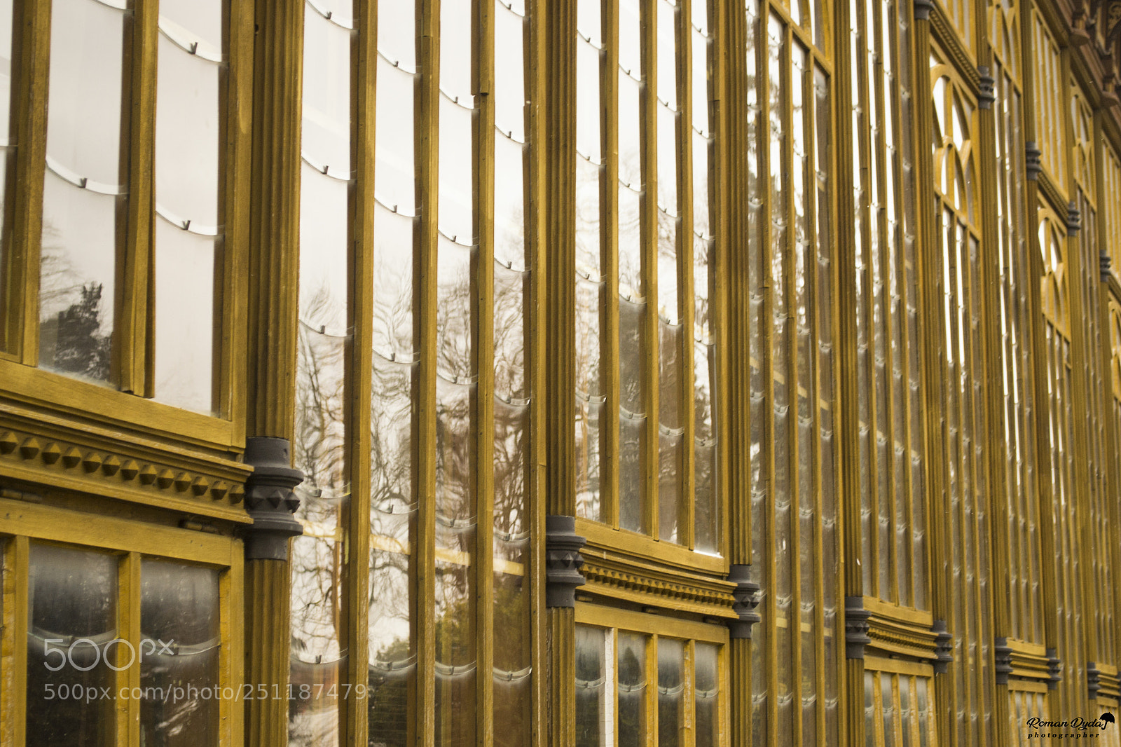 Nikon D3100 sample photo. Old windows. photography