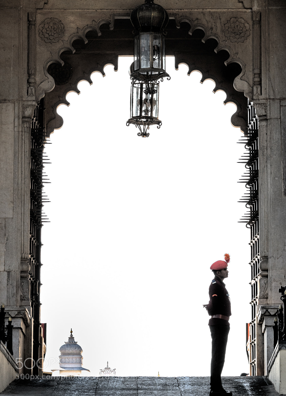 Nikon D850 sample photo. Standing guard photography