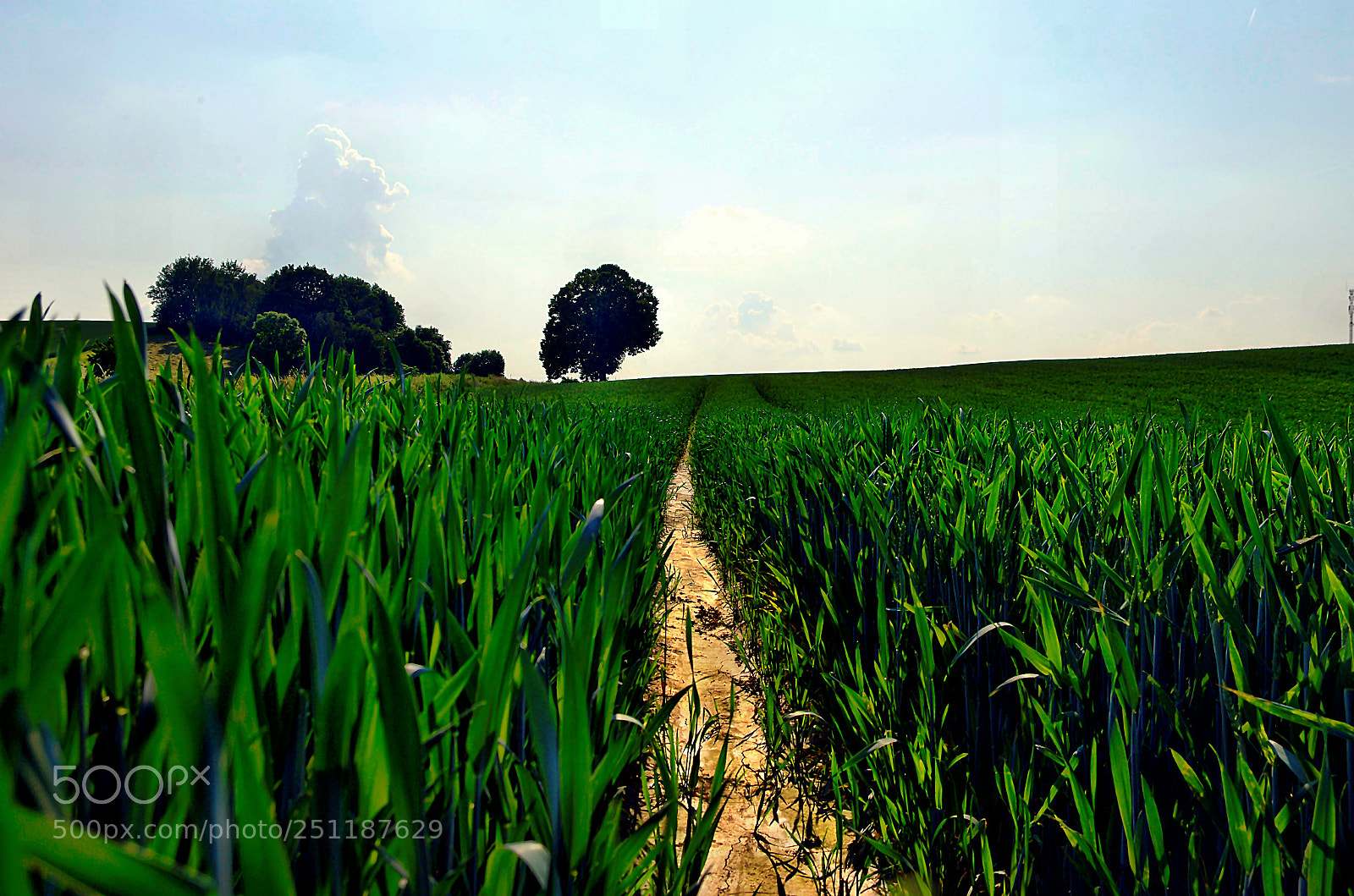 Pentax K-5 sample photo. Untitled photography