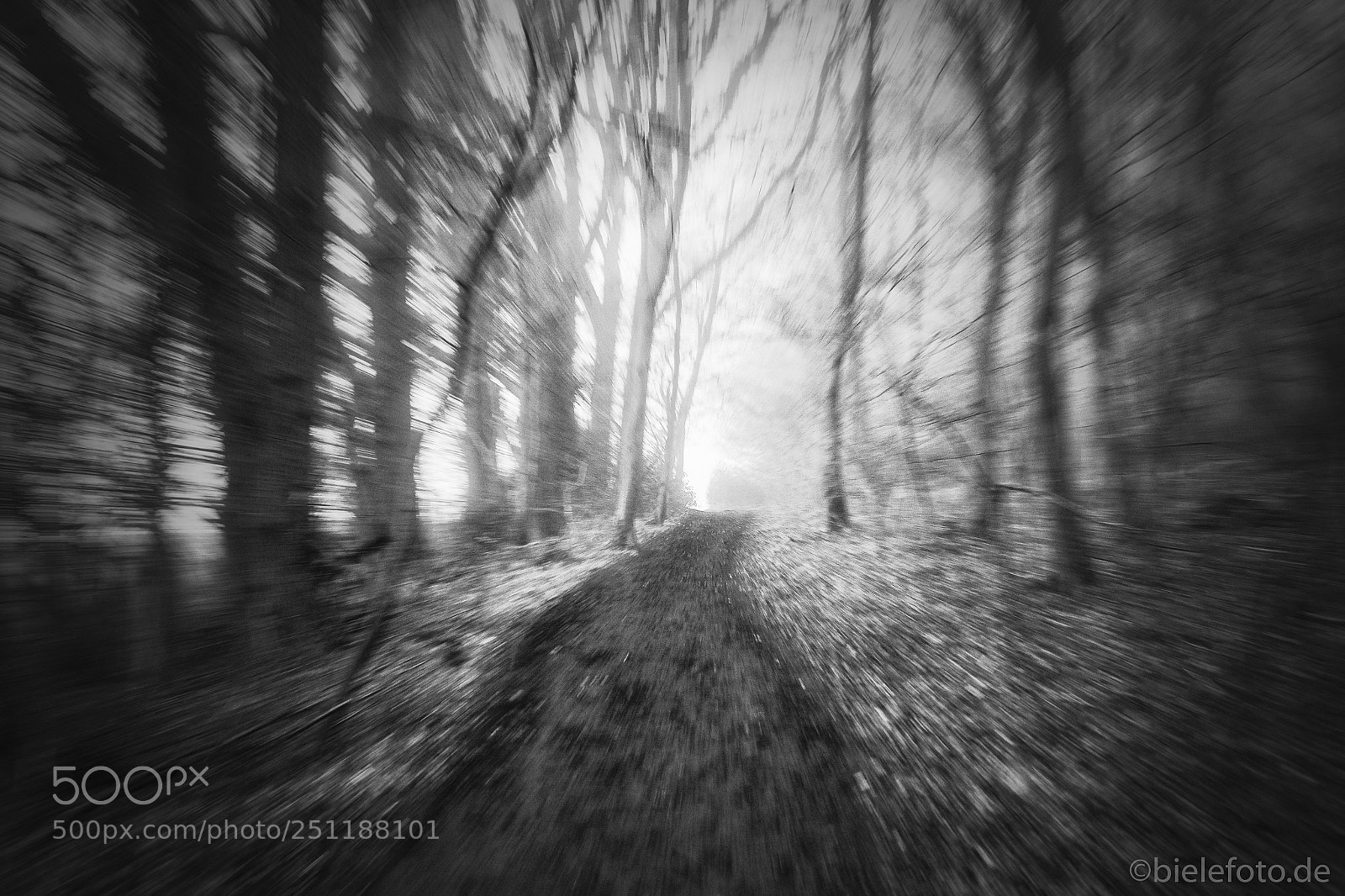 Fujifilm X-T20 sample photo. Dark and foggy path photography