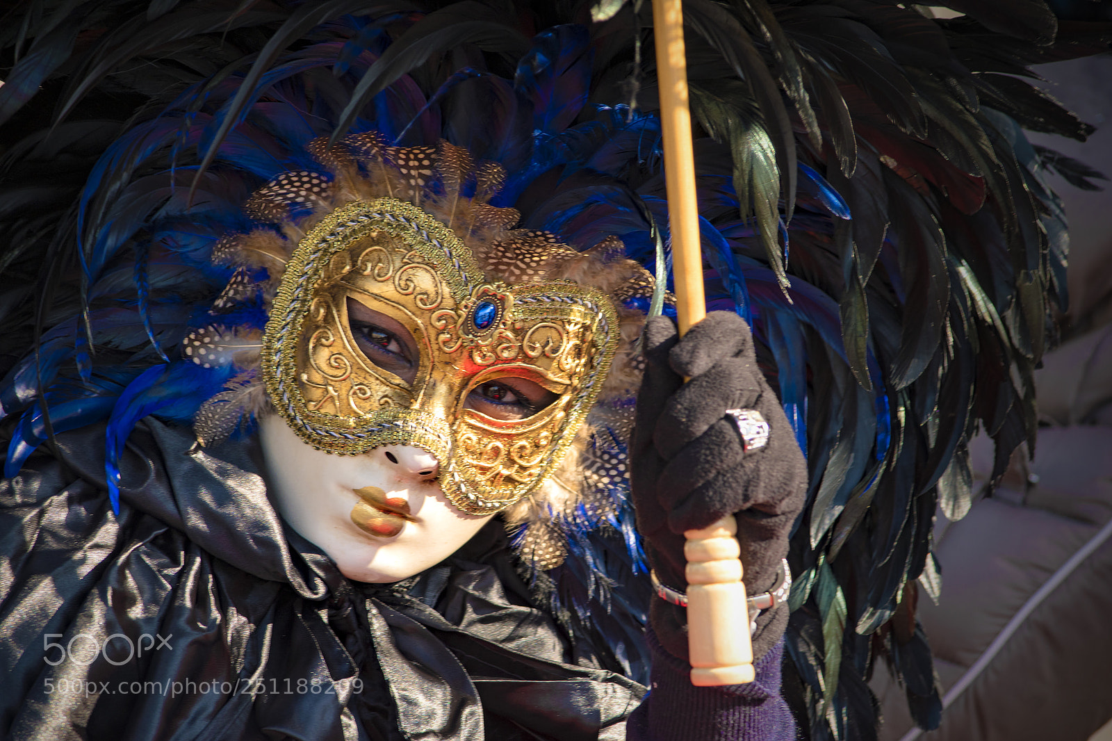 Nikon D5500 sample photo. Carnival mask portrait photography