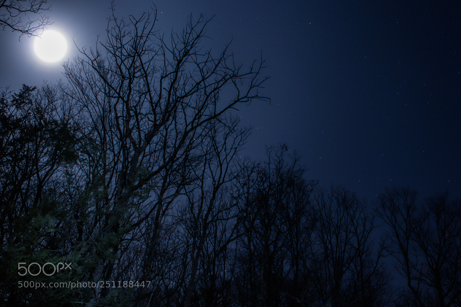 Canon EOS 77D (EOS 9000D / EOS 770D) sample photo. Moonlight photography