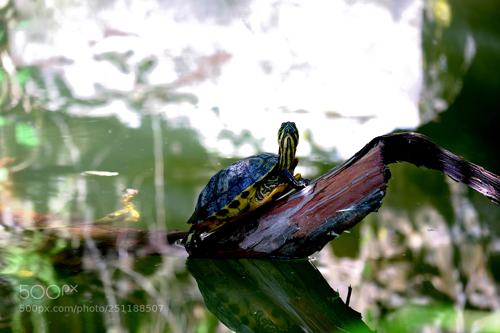 Fujifilm X-T1 sample photo. Ti vedo photography