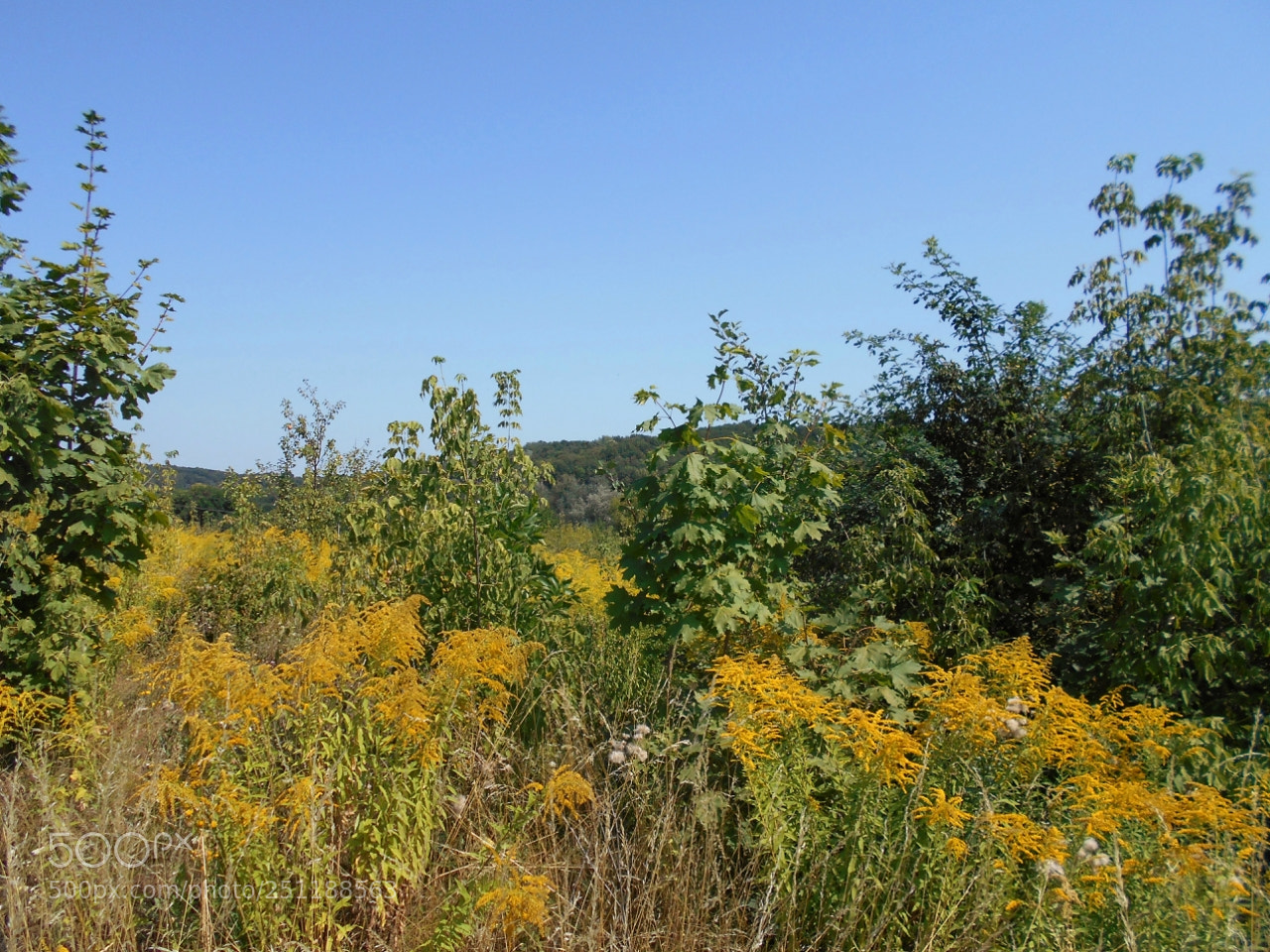 Nikon Coolpix A100 sample photo. D corig photography
