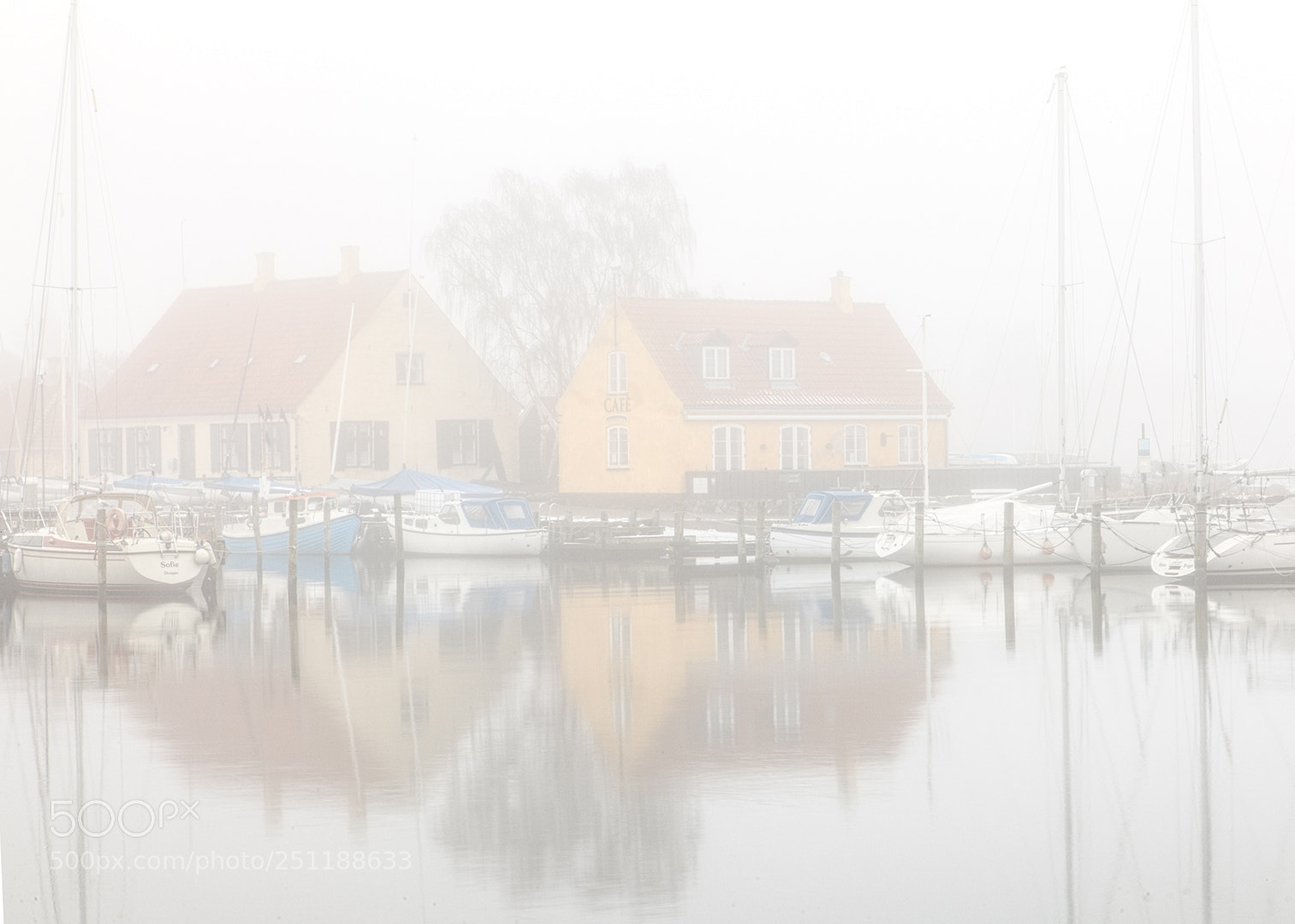 Canon EOS 5D Mark II sample photo. Dragoer fog photography