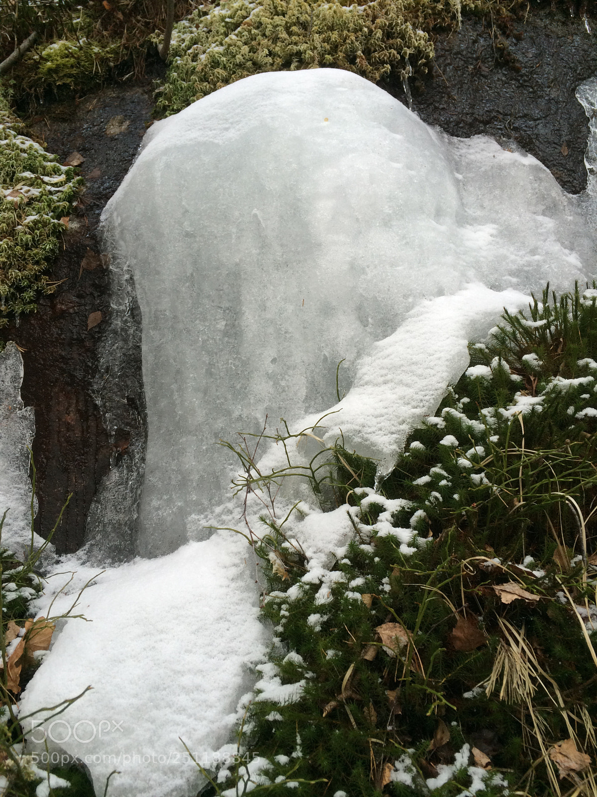 Apple iPhone 5s sample photo. Sculpted in ice photography