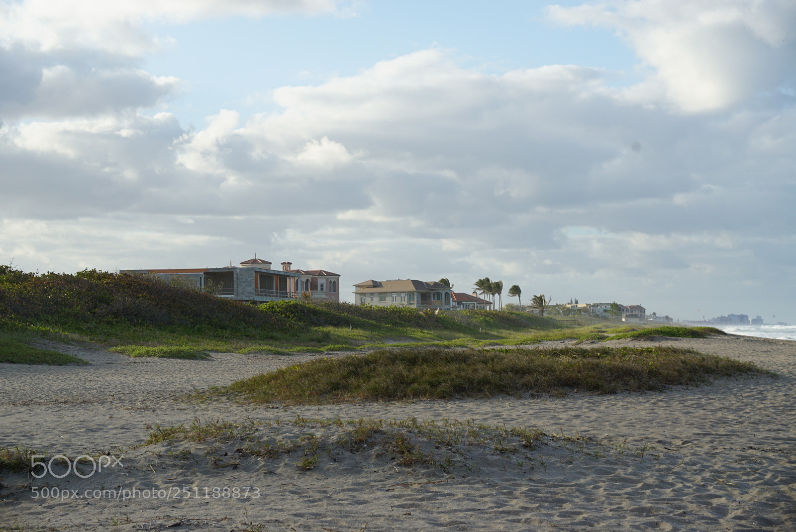 Sony a5100 sample photo. Dff cffa bddd photography