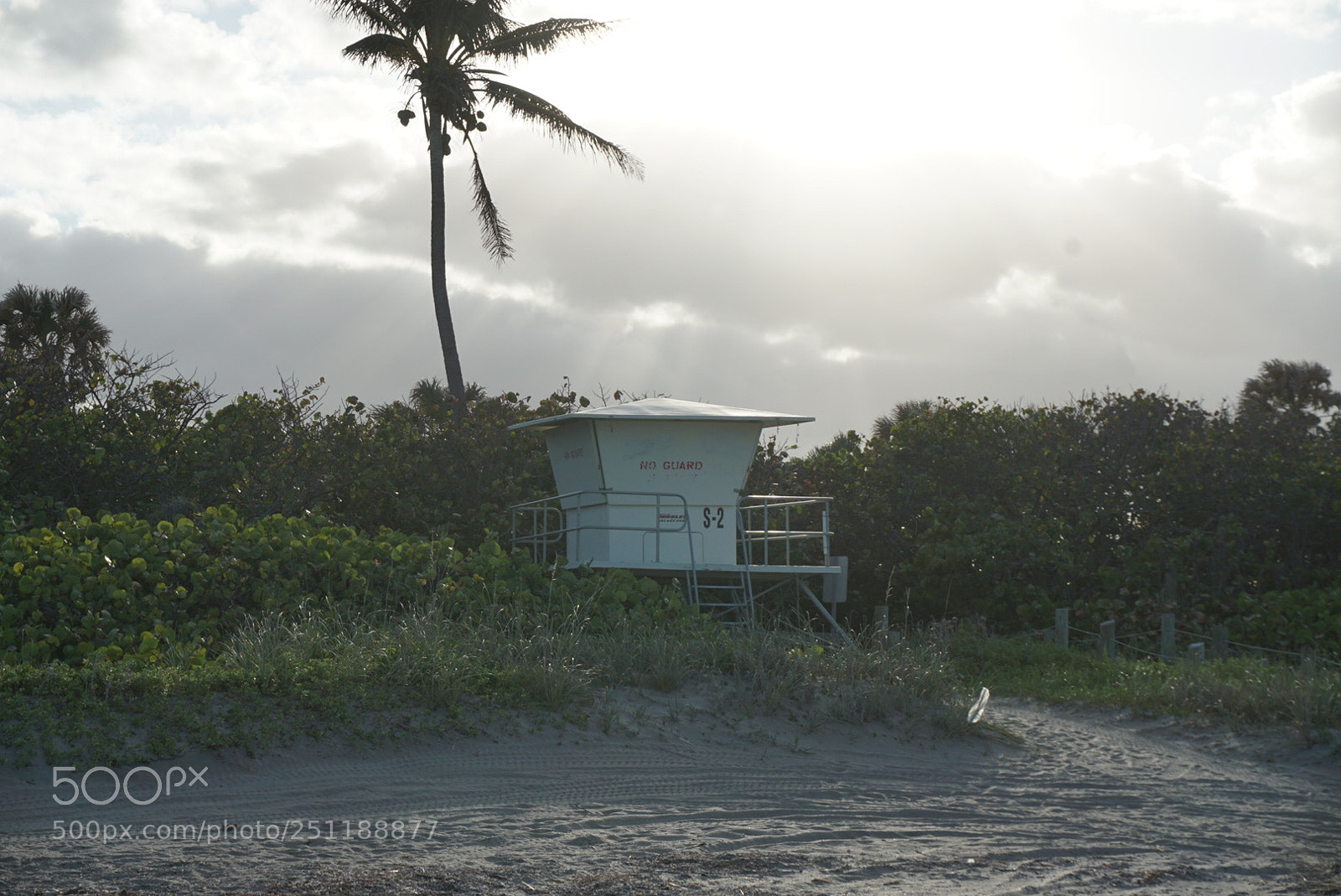 Sony a5100 sample photo. Abeaae cd photography